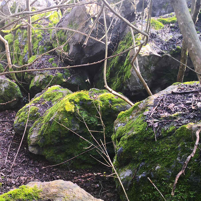 日式庭院黑山石 枯山水黑山石造景 駁岸黑山石造景觀(guān)