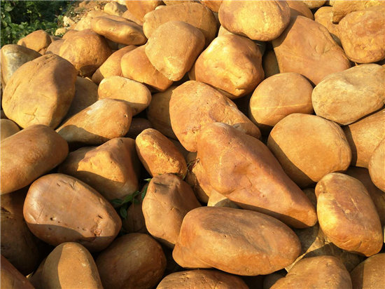 浙江駁岸景觀(guān)黃蠟石 浙江假山魚(yú)池圍邊景觀(guān)石 浙江黃蠟石