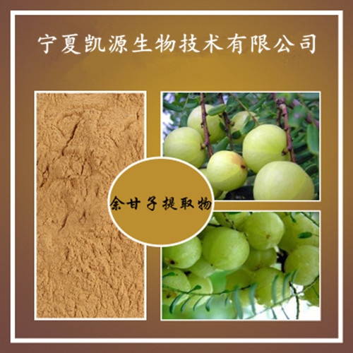 廠家供應 余甘子提取物10:1 現貨包郵