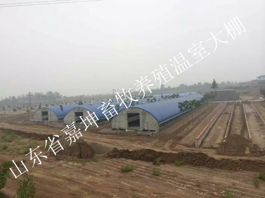 水產(chǎn)養(yǎng)殖大棚 供應(yīng)養(yǎng)殖大棚 薄膜溫室大棚建設(shè) 建養(yǎng)雞大棚